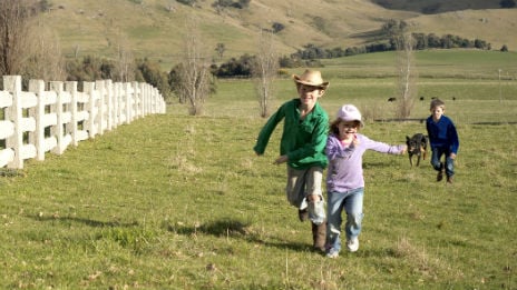 Three kids and a dog running along a white wooden fence in a paddock.