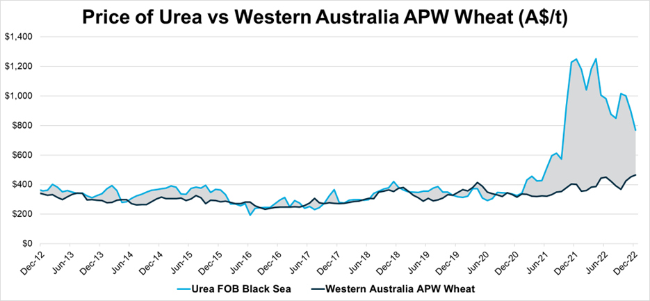 The chart below compares the FOB Black Sea price of urea to Western Australian APW wheat from December 2012 to December 2022. Despite being well above average, the price of wheat has not kept up with the price of urea, with the price of urea increasing dramatically from Decemebr 2020.