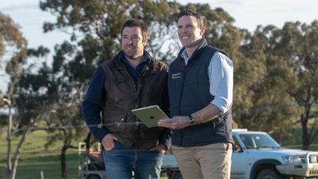 Farmer and Rural staff member using iPad in a paddock.