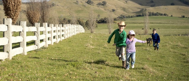 Three kids and a dog running along a white wooden fence in a paddock.