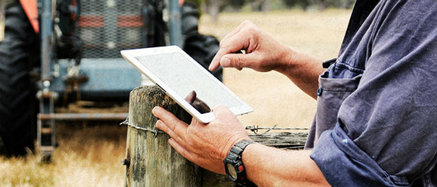 Man using a tablet while out in the paddock.