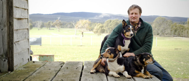 Farmer and three dogs sitting on porch.