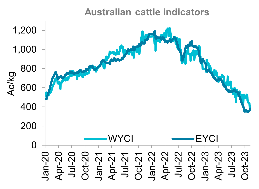 A graph showing young cattle indicators for western and eastern Australia from January 2020 through to November 2023. Australian cattle prices trended higher throughout the last month.