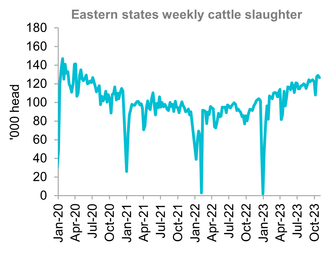 A graph showing the eastern states weekly cattle slaughter rates from January 2020 through to November 2023. Australian cattle slaughter has stabilised in the last two months.