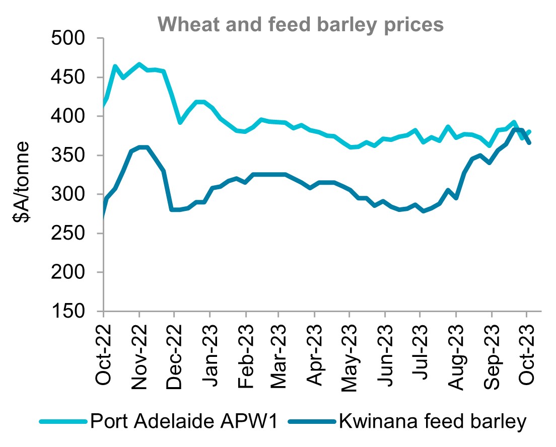 A graph showing Australian wheat and feed barley price over the last 12 months. Wheat prices fell slightly over the month despite yield prospects declining. Softer international markets keeping a lid on prices. Barley prices peaked in late September at values last seen in mid-2022. Price have since dropped as international demand wanes. 