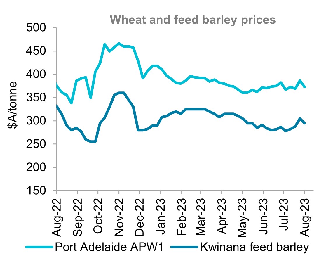 A graph showing Australian wheat and feed barley price over the last 12 months. Wheat and barley prices moved higher over the past month due to global volatility.