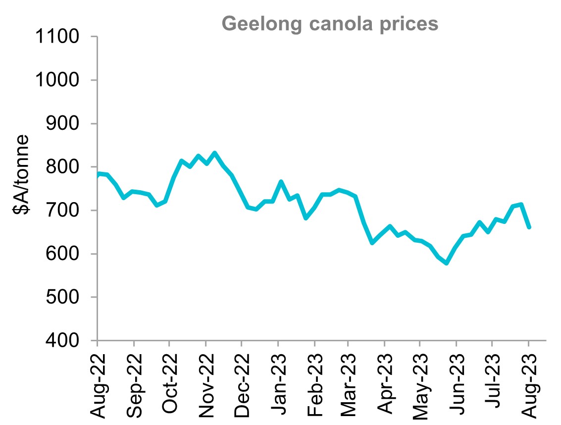 A graph that shows Geelong canola price over the last 12 months. Geelong prices rallied strongly during the month before losing all gains in the final week.