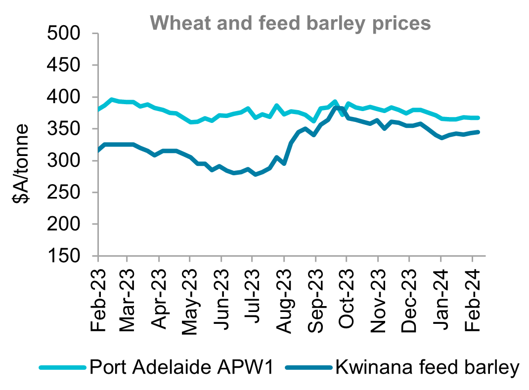 A graph showing Australian wheat and feed barley price over the last 12 months. Local wheat prices have mostly followed international values over the past month, moving in a sideways pattern and a fairly narrow range. Barley prices in much the same vein as we wait for fresh export demand from China.