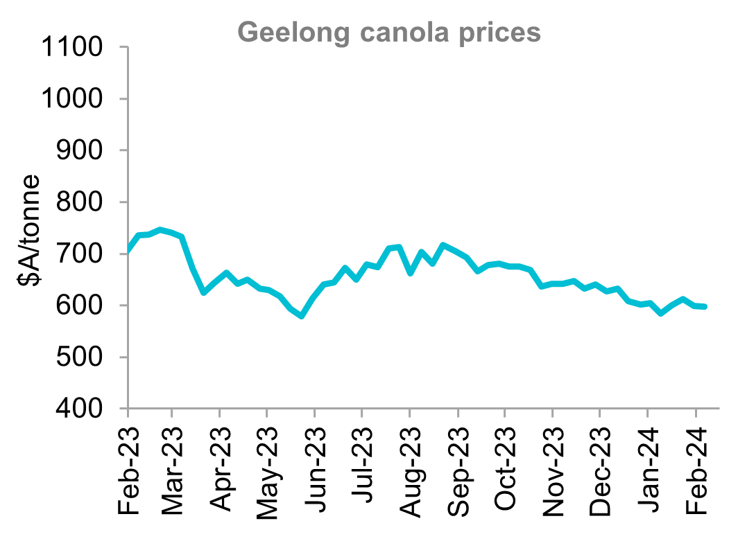 A graph that shows Geelong canola price over the last 12 months. Locally the 2023/24 canola bids continued their slide despite the falling Australian dollar. With Canola the crop of choice to carry, any price spikes are being met with grower selling, capping any rallies.
