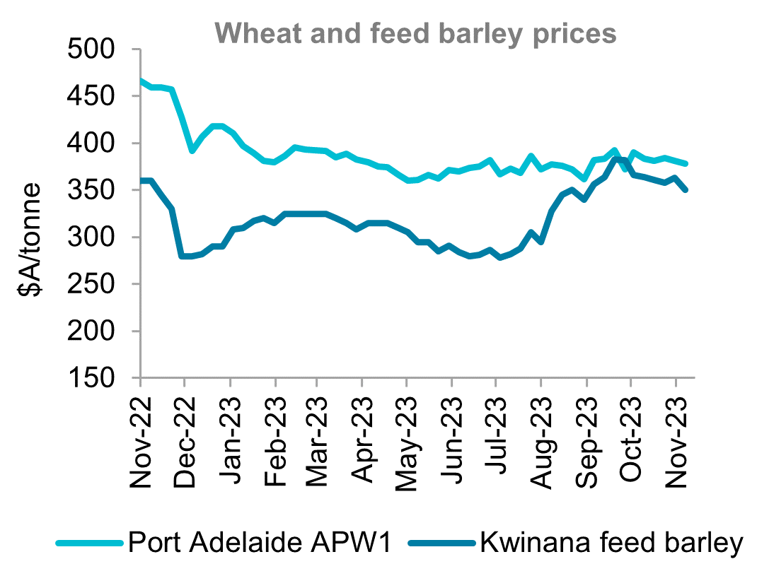 A graph showing Australian wheat and feed barley price over the last 12 months. Both wheat and barley values declined over October due to harvest selling pressure.