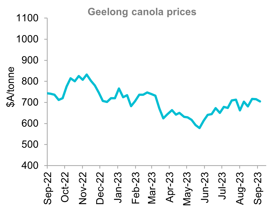A graph that shows Geelong canola price over the last 12 months. Canola prices remain well supported with Australian canola well placed to get export business this season.