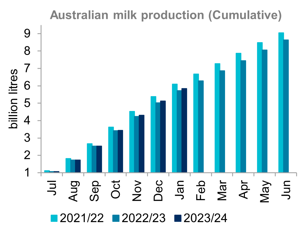 A graph showing monthly milk production in Australia for the last three seasons. National milk production in January 2024 was a 4.8 per cent increase on January 2023. 