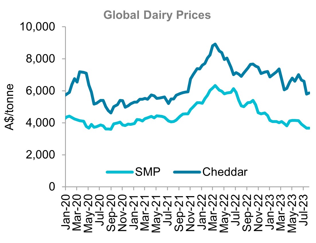 A graph showing global prices for skim milk powder and cheddar from January 2020 to August 2023 showing a decline in the past month.