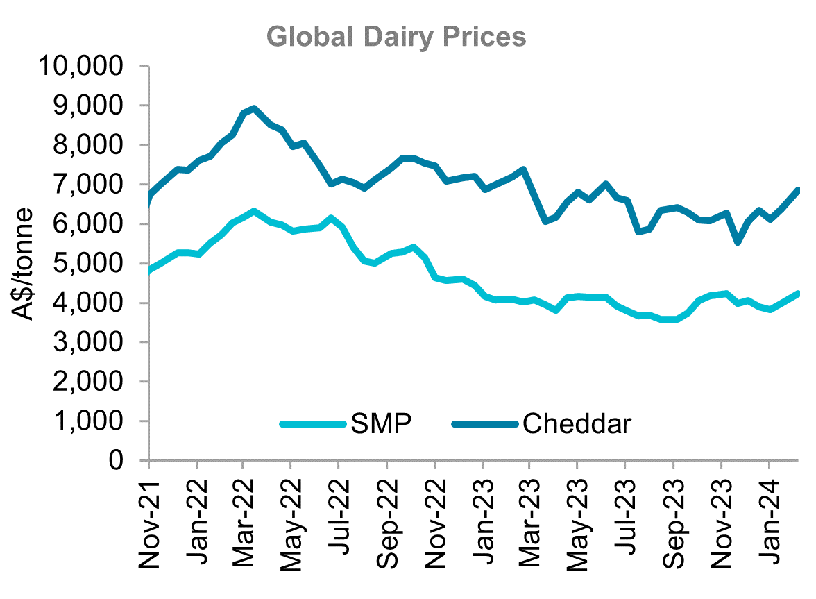 A graph showing global prices for skim milk powder and cheddar from November 2021 to November 2023 showing some gains in the past month.