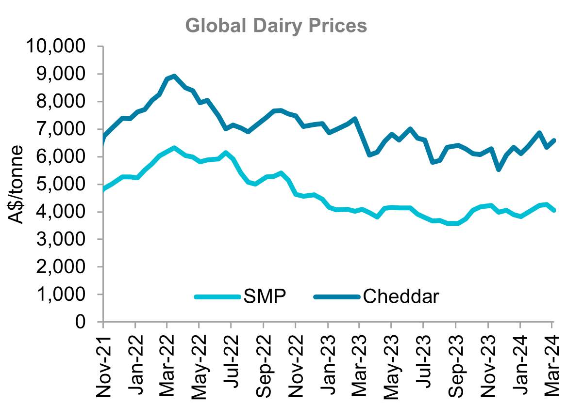 A graph showing global prices for skim milk powder and cheddar from November 2021 to March 2024. Skim milk powder saw some price declines last month while cheddar edged higher. 