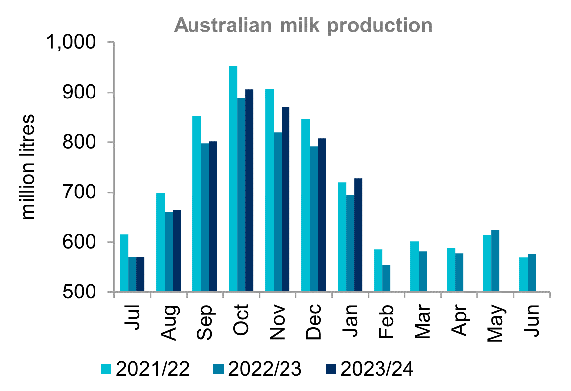 A graph showing monthly milk production in Australia for the last three seasons. National milk production in January 2024 was a 4.8 per cent increase on January 2023. 