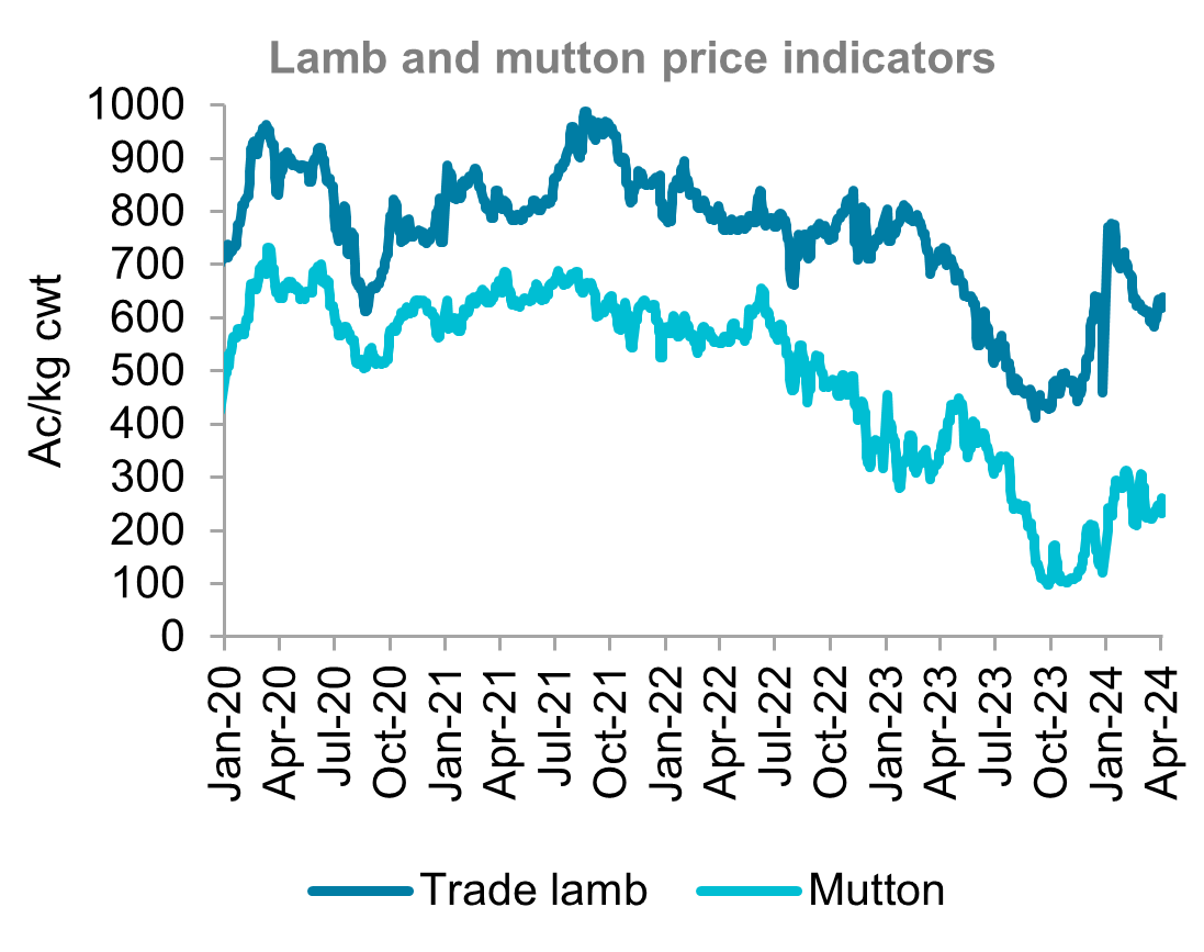 A graph showing Australian lamb and mutton price indicators from January 2020 to April 2024. Lamb and mutton prices have both been relatively steady over the past month. 