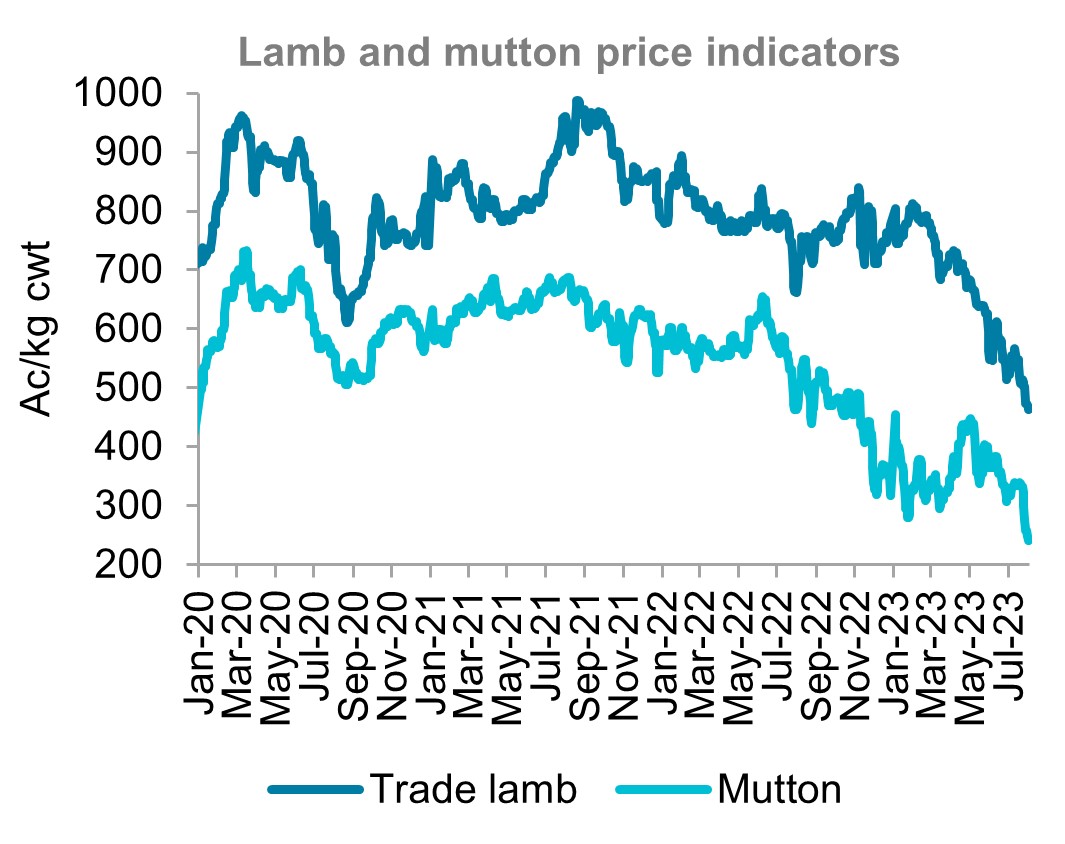A graph showing Australian lamb and mutton price indicators from January 2020 to August 2023. Lamb and mutton prices both finished lower in the past month.