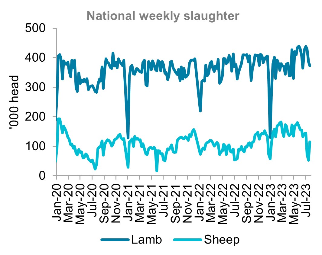 A graph showing national weekly slaughter for lamb and sheep from January 2020 to July 2023. Total slaughter decreased in July.