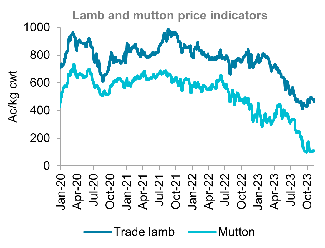 A graph showing Australian lamb and mutton price indicators from January 2020 to November 2023. Lamb and mutton prices have fallen sharply this year, but saw a slight improvement over the past couple of weeks. 