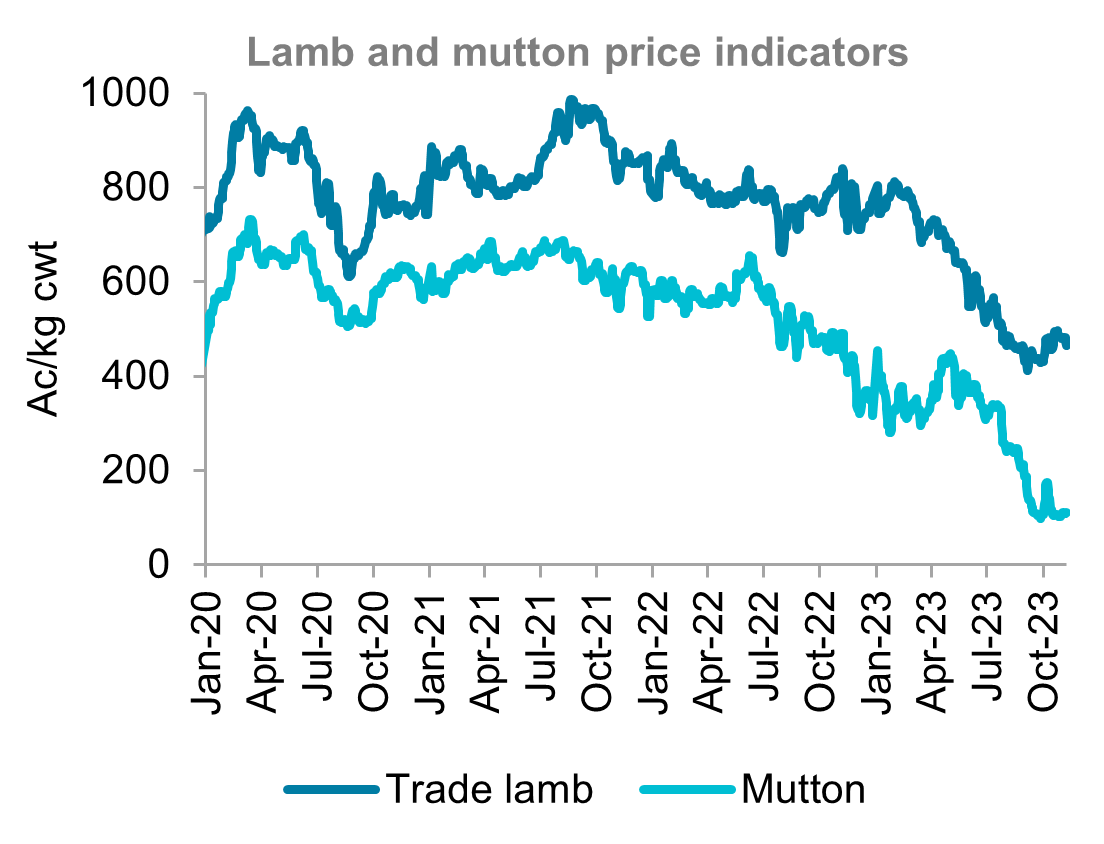 A graph showing Australian lamb and mutton price indicators from January 2020 to November 2023. Lamb and mutton prices have fallen sharply this year, but saw a slight improvement over the past couple of weeks.