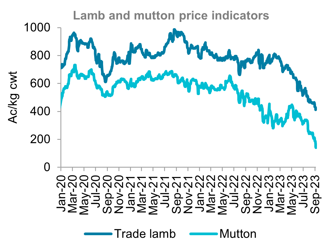 A graph showing Australian lamb and mutton price indicators from January 2020 to September 2023. Lamb and mutton prices both finished lower in the past month.