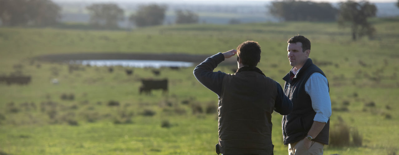 Farmer and Rural Bank staff member looking out across a paddock.