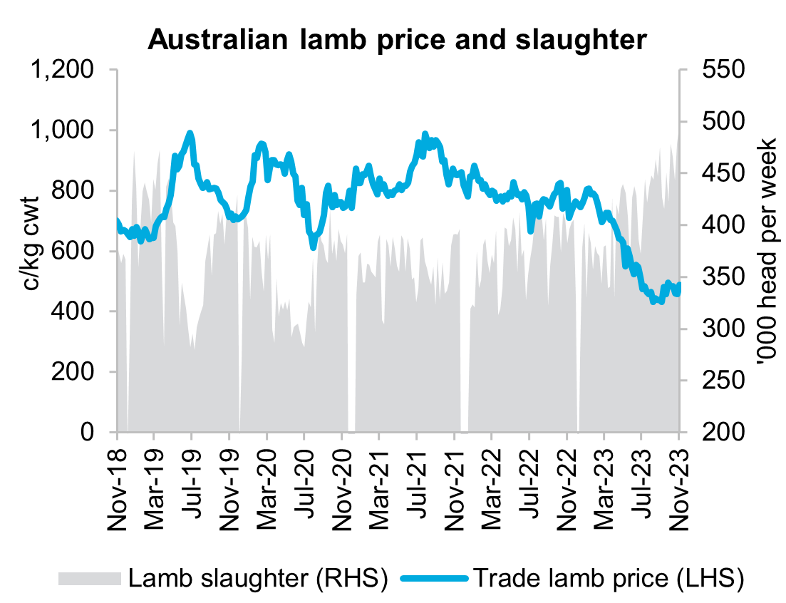 Overview: A graph showing the national trade lamb price and weekly slaughter in the past five years. Lamb prices fell substantially in 2023 while slaughter trended higher to near-record levels.

Presentation: The graph represents both the Australian lamb slaughter number as '000 heads per week and the trade lamb price as c/Kg cwt?? from November 2018 to November 2023. The value of Australian weekly lamb slaughter rates are presented using vertical lines over the stated time period, with height indicating the number of heads per week. A horizontal line charting trade lamb price movements is displayed on top of the vertical lines. 